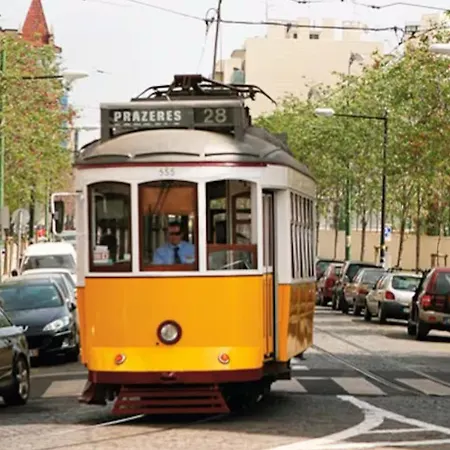 Viver - Em Campo De Ourique Lägenhet