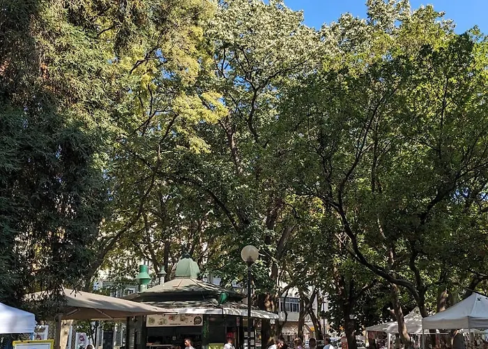 Viver - Em Campo De Ourique Apartamento *