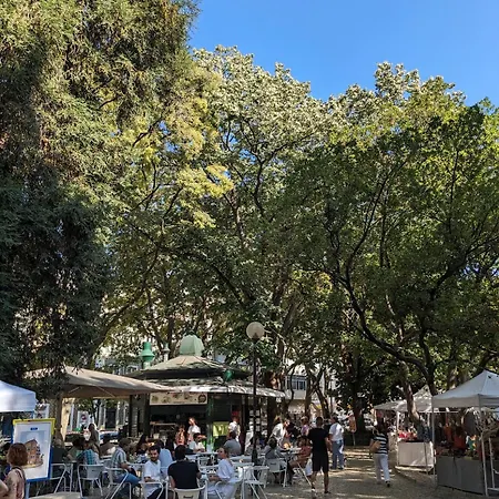 Viver - Em Campo De Ourique Apartamento *